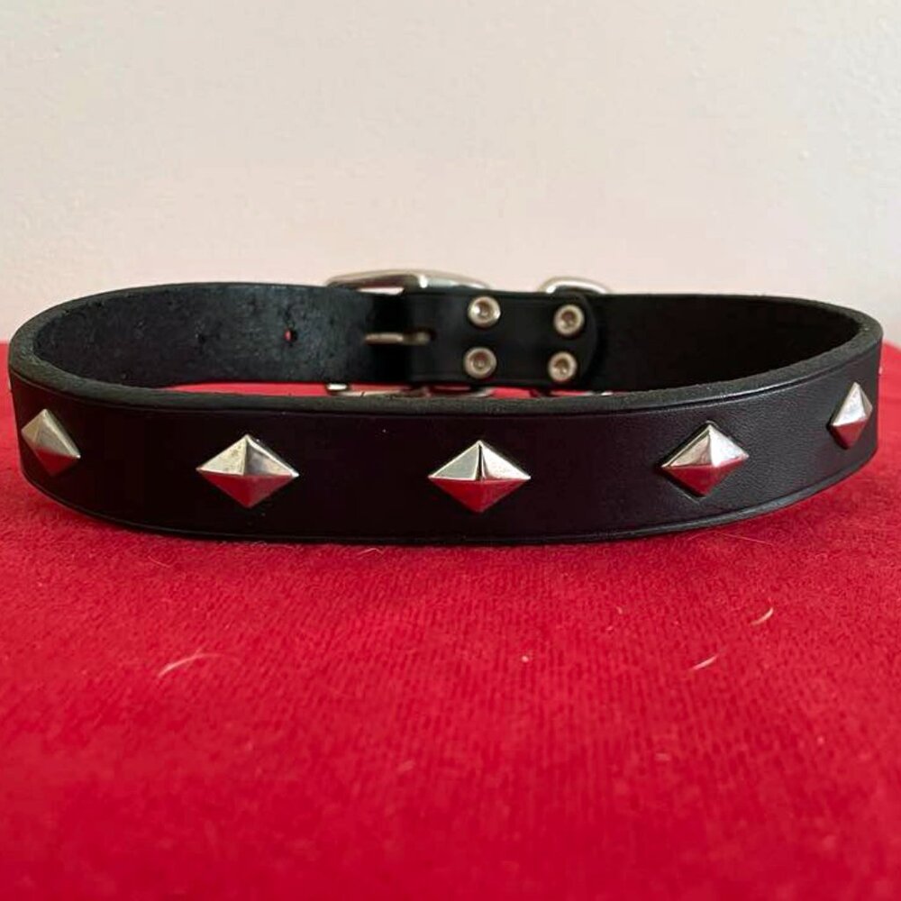 Dog Collar: NWT Diamond Studded Leather, 10-24"